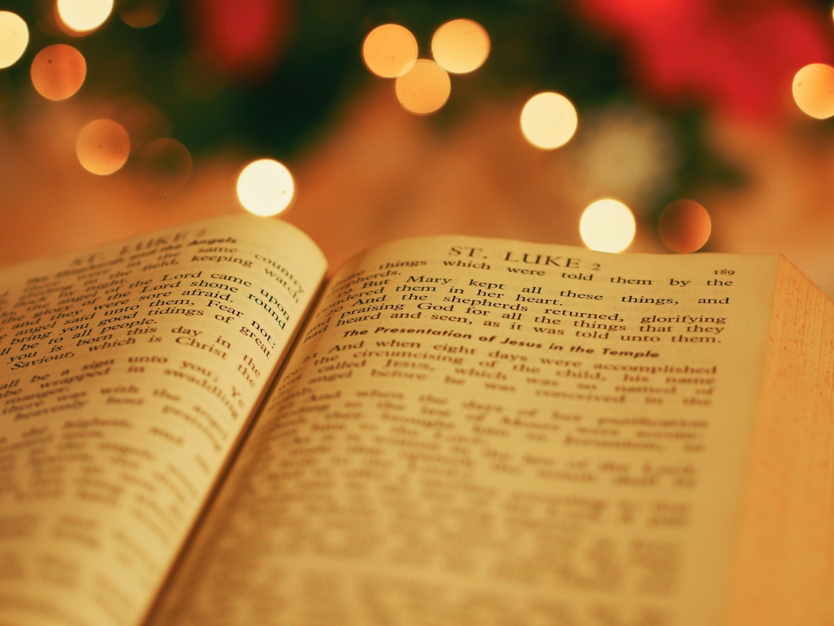 Warm light on an open book