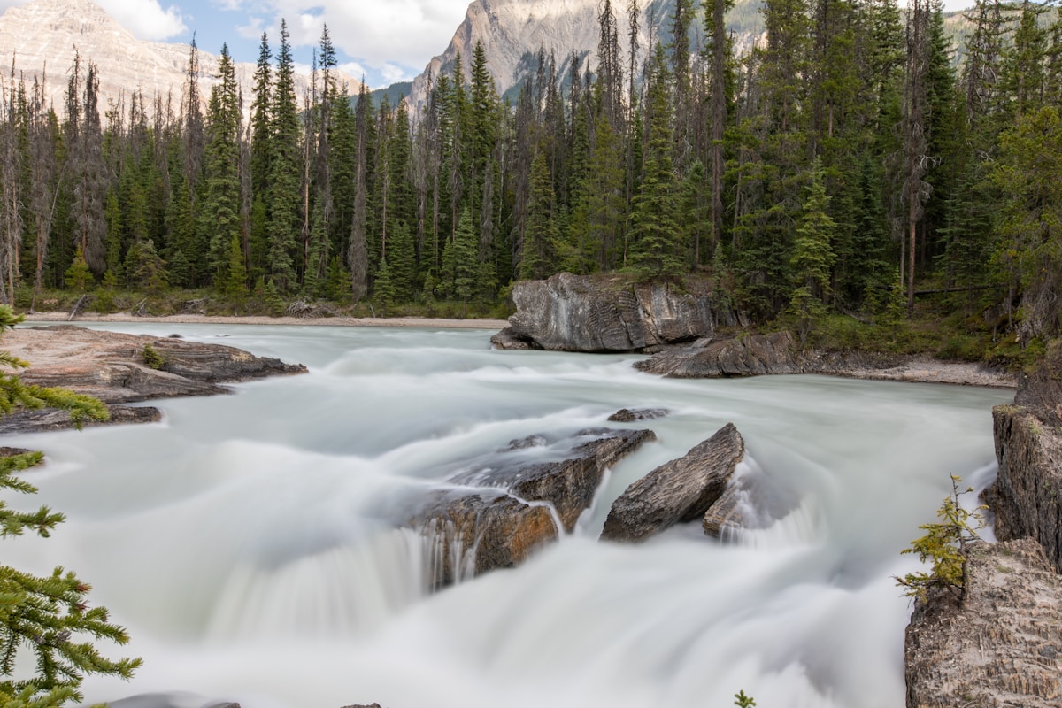 Flowing stream