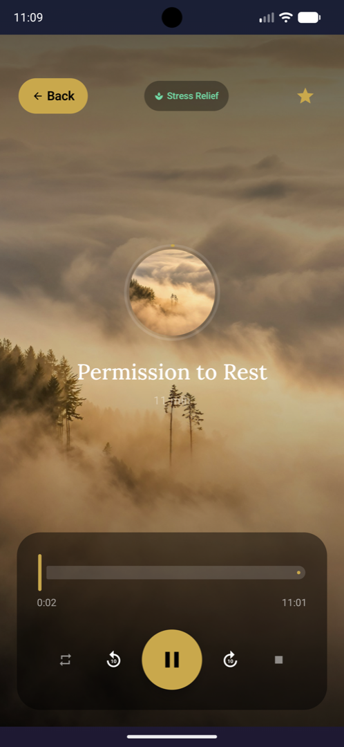 Player screen with a meditation playing